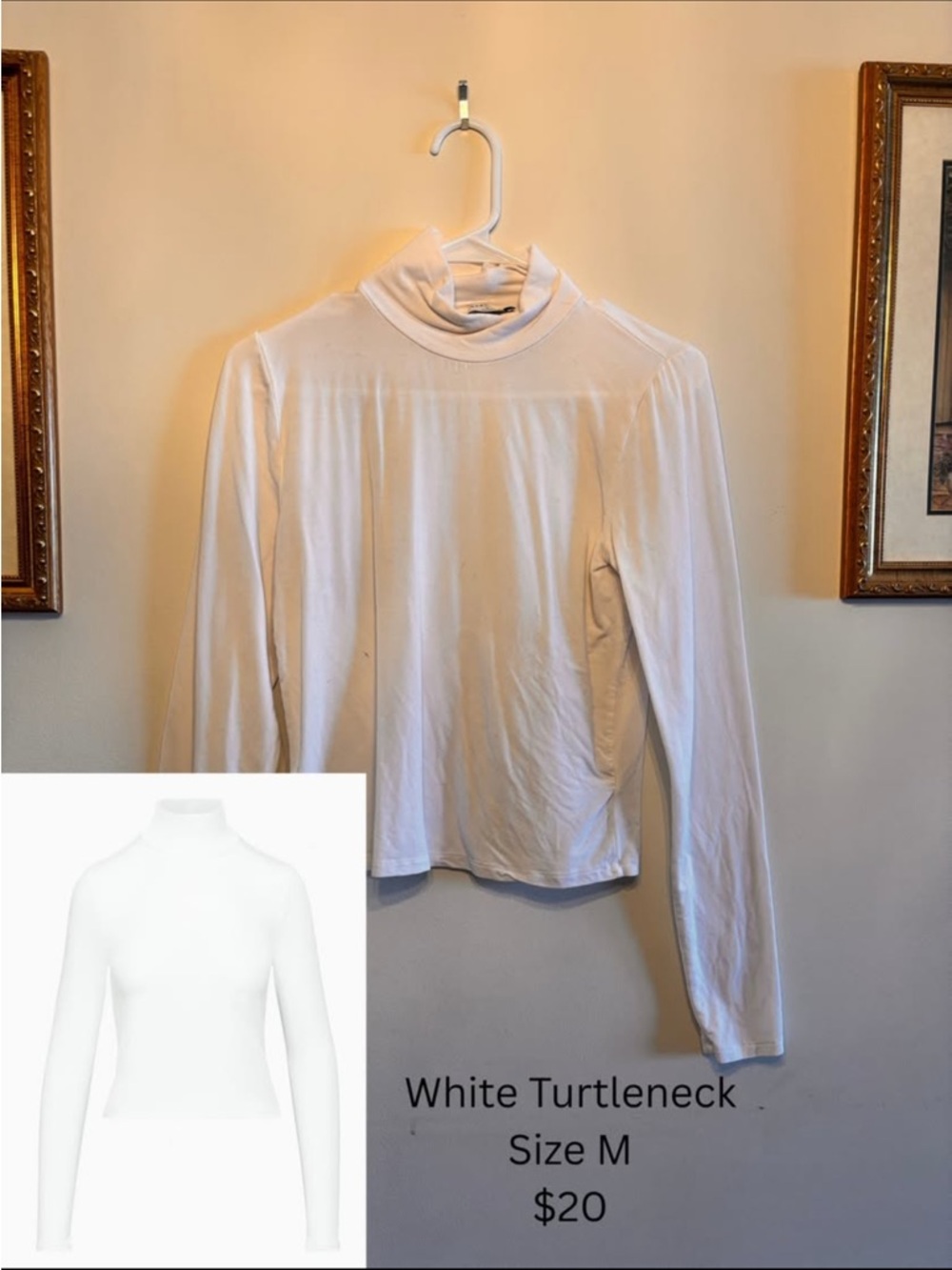 Aritzia White Long-Sleeve Turtleneck Top